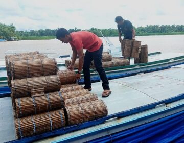 Estado incentiva pesca e recria de camarão com entrega de kits