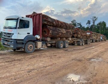 Amapá recebe R$ 4,7 mi para aumentar aproveitamento de árvores derrubadas