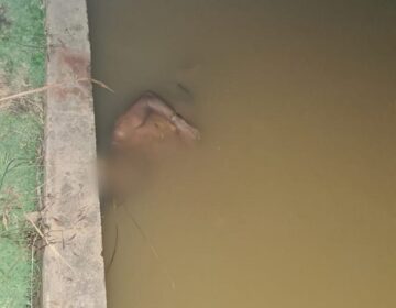 Aposentado é achado morto com 16 facadas em lago de balneário