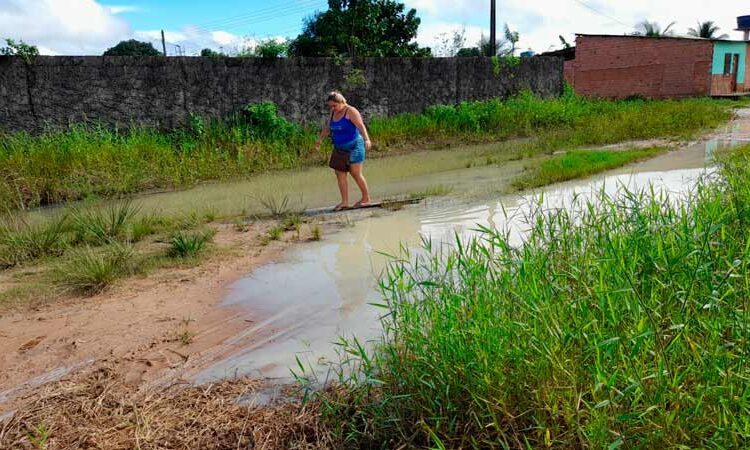 A caminho do trabalho, moradores enfrentam lama e mato
