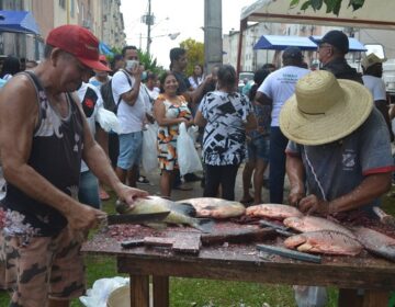 Peixe Popular: vendas da Semana Santa começam nesta terça; veja locais e preços