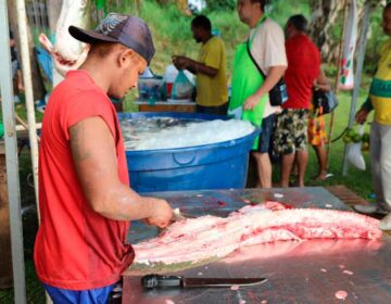 Em Pedra, Feira do Agro ofertará 6 espécies de peixes