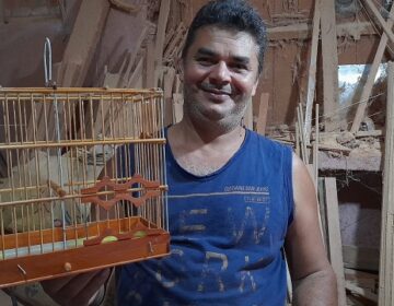 Artesão de gaiolas diz ser contra a captura indiscriminada de pássaros