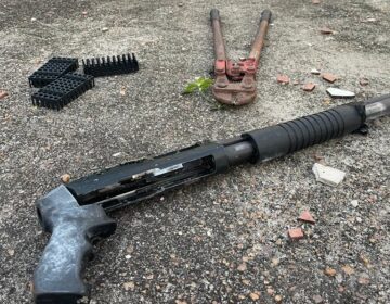 PF estima que 70 armas e mais de 3 mil munições foram furtadas de empresa