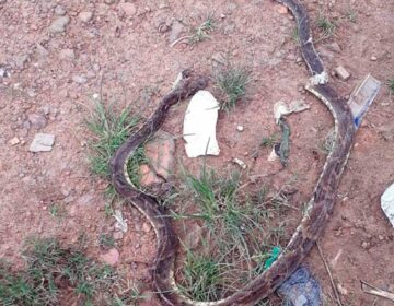No Amapá, policiais penais lidam com o perigo em várias formas