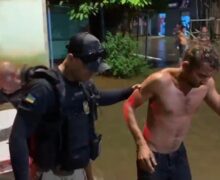 Homem que matou cunhado por causa de cachorro é preso