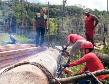 Jangada usada por madeireiros clandestinos é destruída