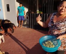 ‘Por amor’, diz família que alimenta cachorros de rua