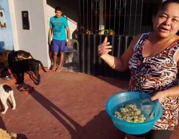 ‘Por amor’, diz família que alimenta cachorros de rua