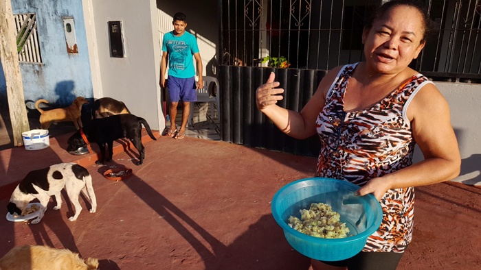 ‘Por amor’, diz família que alimenta cachorros de rua