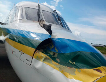 Perigo na aviação: empresa que gerencia aterro diz não encontrar especialista para monitorar urubus