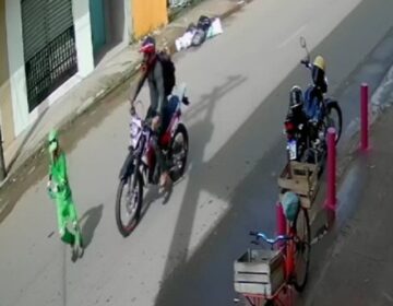 Gari é atropelado durante coleta