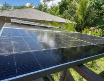 Com energia solar, criadores de camarão armazenam e aumentam produção