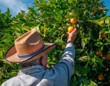 Aposentadorias rural e urbana podem ser somadas?