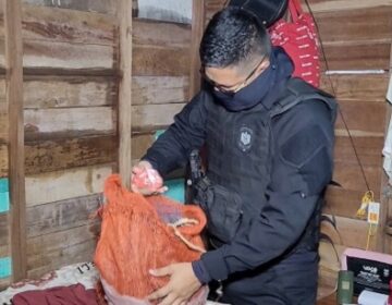 Suspeito investigado por furto é flagrado com drogas