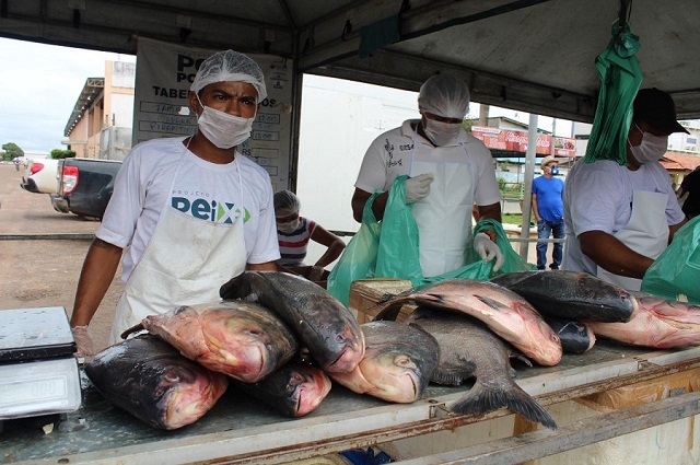 15 toneladas de pescado serão vendidas a partir de R$ 8 o quilo