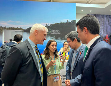Reino Unido analisa pedido de Randolfe para integrar Fundo da Amazônia