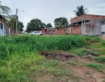 Mato, lixo, energia instável e via intrafegável: o drama numa ‘rua’ da zona norte