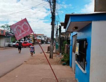 Macapaense se assusta com disparada do açaí