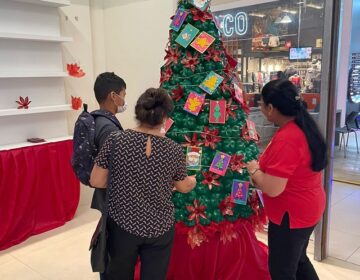 Árvore de natal da Apae tem cartinhas com pedidos de alunos especiais