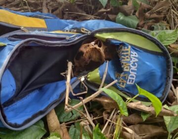 Ossada humana é achada dentro de mochila em terreno baldio