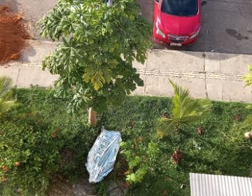 Para fugir de assassinos, detento pula do 4º andar e morre