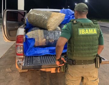 Ibama apreende 2 mil caranguejos durante defeso no Amapá