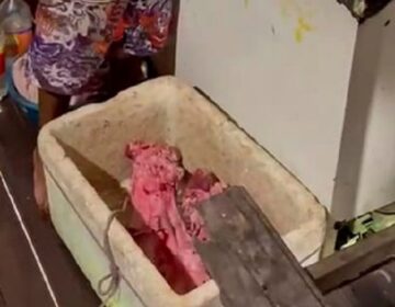 Homem é preso ao tentar vender 70 kg de carne de búfalo imprópria para consumo