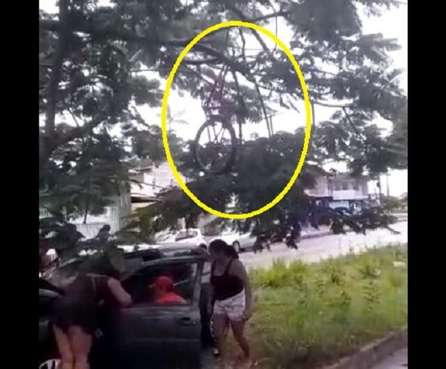Carro atropela ciclista e bicicleta vai parar em cima de árvore