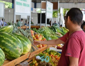 Feira no Sebrae traz a Macapá produtos do campo