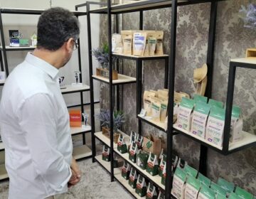 Para estimular produção tecnológica, Amapá abre linha de crédito para startups