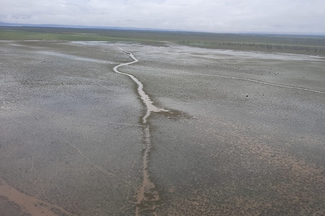 Sobrevoos registram impactos na foz do Rio Araguari