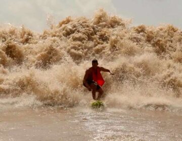 Surfistas voltam a desafiar a pororoca, mas em Chaves: ‘irado’