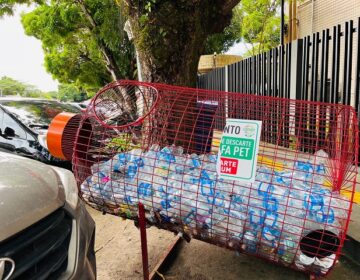 Garrafas que iam pro lixo aliam preservação, negócios e solidariedade