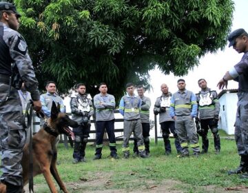 Leituristas são treinados para se proteger de ataques de cães