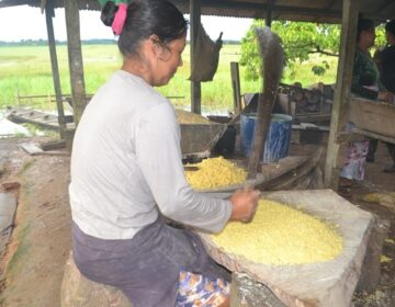 Vender farinha é um ótimo negócio, mas agricultores não conseguem aumentar produção