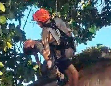 Catador de latinha morre eletrocutado ao apanhar abacates