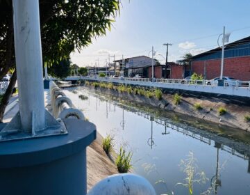 Soltura de tilápia em canais de Macapá preocupa autoridades