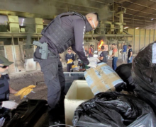 Polícia destrói 500 kg de drogas, avaliados em R$ 10 milhões
