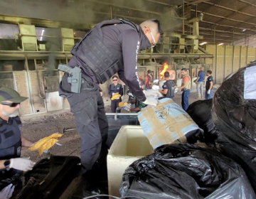 Polícia destrói 500 kg de drogas, avaliados em R$ 10 milhões