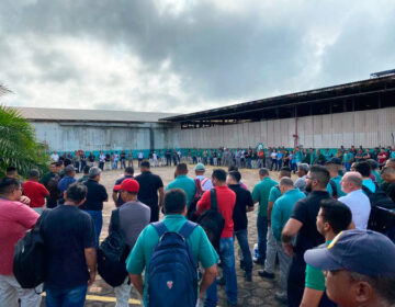 Um ano depois, 2 mil funcionários da Jari retornam ao trabalho