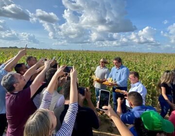 Macapá libera 1ª licença ambiental para exportação de soja e milho