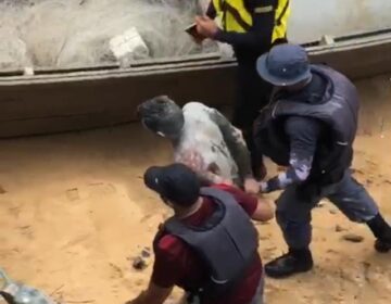 Indígena violentada na lama não resiste