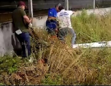 Passageiro morre após motocicleta bater no meio fio