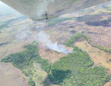 Fake news sobre queda de avião mobiliza autoridades