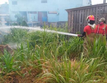 Fogo assusta comerciantes do ‘Canal das Madeireiras’, em Santana