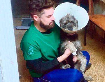 Sumiço de cadelas na Unifap vira caso de polícia