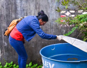 População melhora cuidados com quintais e lixo e Macapá baixa risco do Aedes