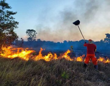 Bombeiros combatem média de 7 queimadas por dia no Amapá