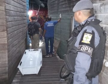 Lavador de carros é morto com tiros na cabeça